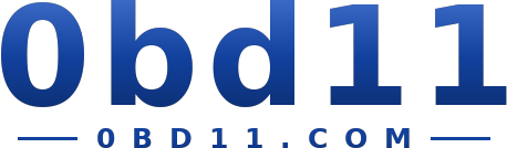 0bd11 logo
